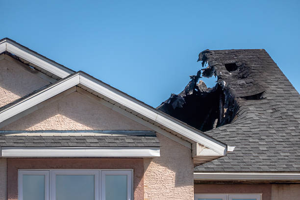 Top rated local Fire Board Up specialists in Lindstrom, MN
